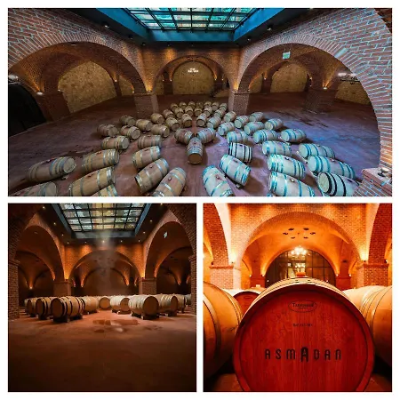 ホテル Bengodi Boutique *