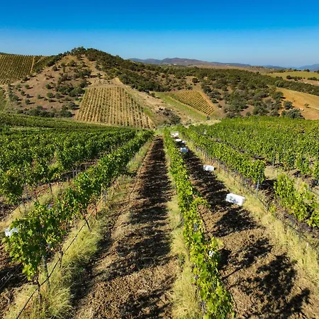 Bengodi Boutique ホテル エジェアバト